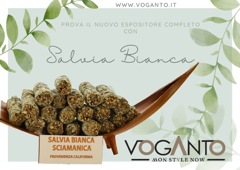 SALVIA-BIANCA