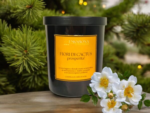 Candela-in-cera-di-soia-Fiori-di-Cactus-Prosperita-Linea-EMOZIONA-Elegante-e-Profumata