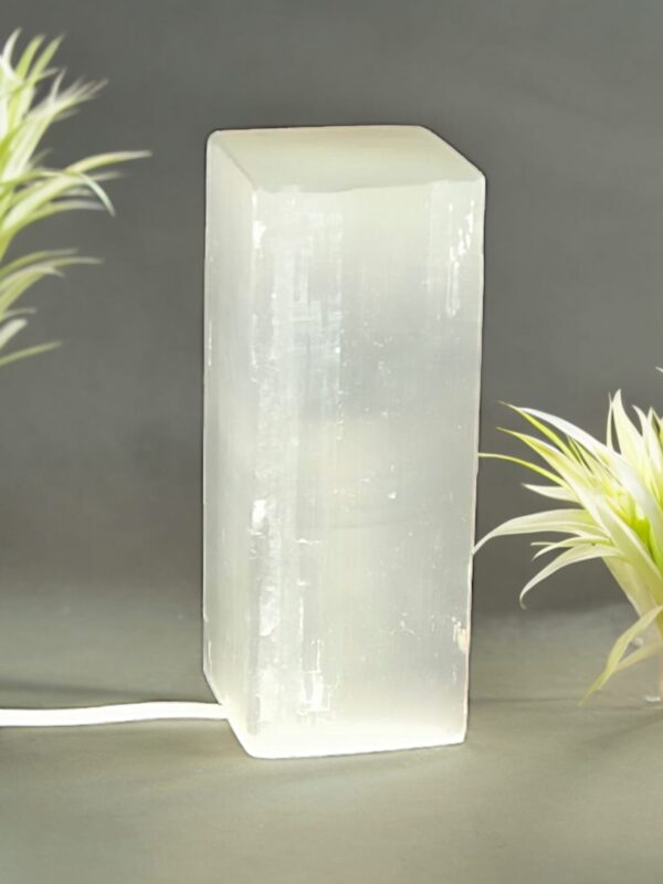 Lampada rettangolare in selenite cm 20 con cablaggio e lampadina inclusa
