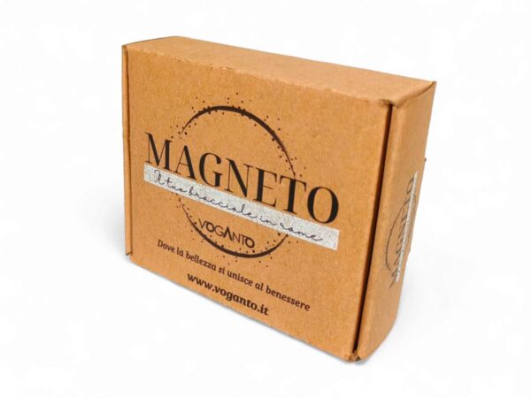 scatola-magneto