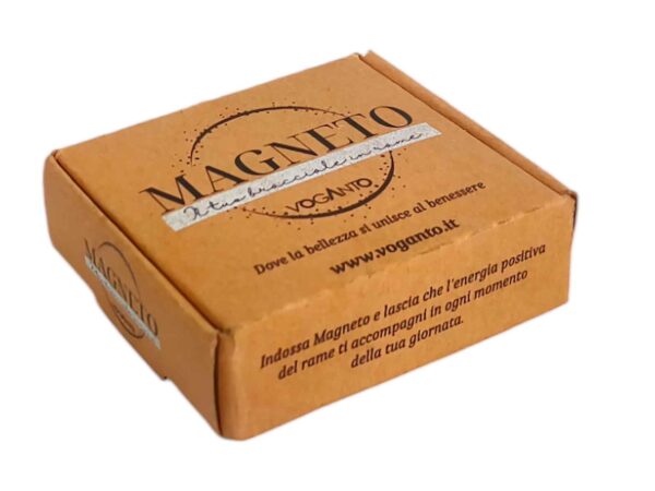 scatola magneto