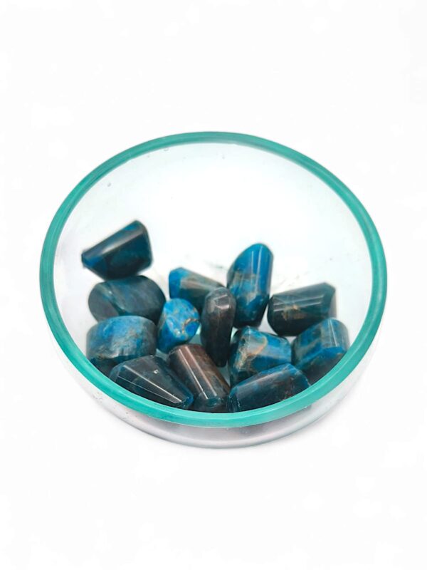 apatite grossista