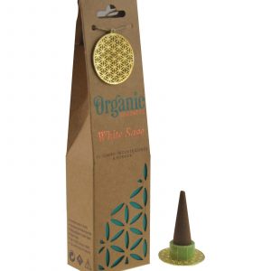 BIO022 INCENSE IN ORGANIC GOODNESS CONES