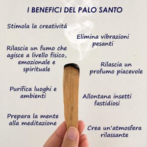 Palo Santo in polvere