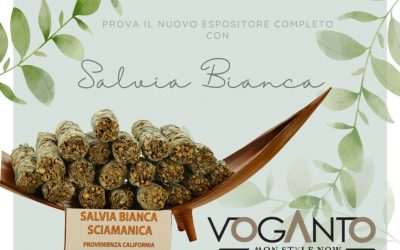 Salvia Bianca