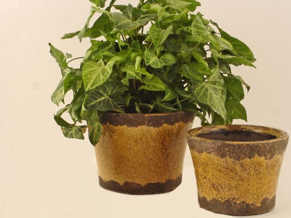 Vaso-set-2-pezzi-in-terracott