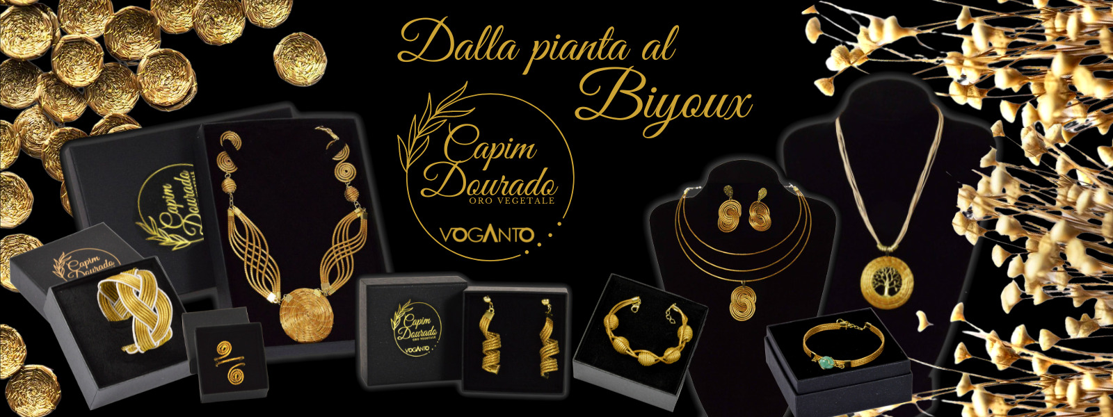 CAPIM DOURADO